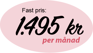 {{__c 'finance.pricing.fixedPrice'}} 1.495 kr {{__c 'finance.pricing.perMonth'}}