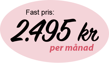 {{__c 'finance.pricing.fixedPrice'}} 2.495 kr {{__c 'finance.pricing.perMonth'}}